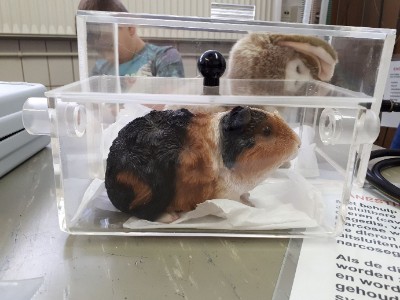 20191110_123443.jpg