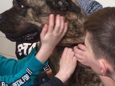 hond2.JPG