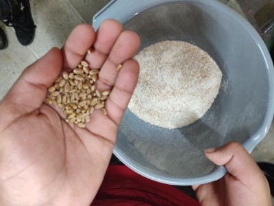 graan-en-meel.jpg