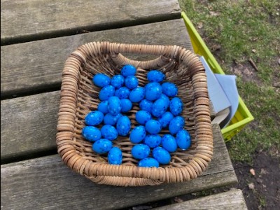 image6.jpeg