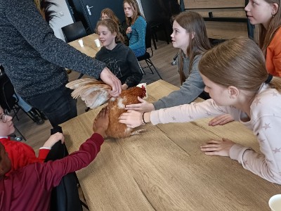 dierenarts-2.jpg