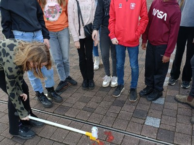 dierenarts-4.jpg