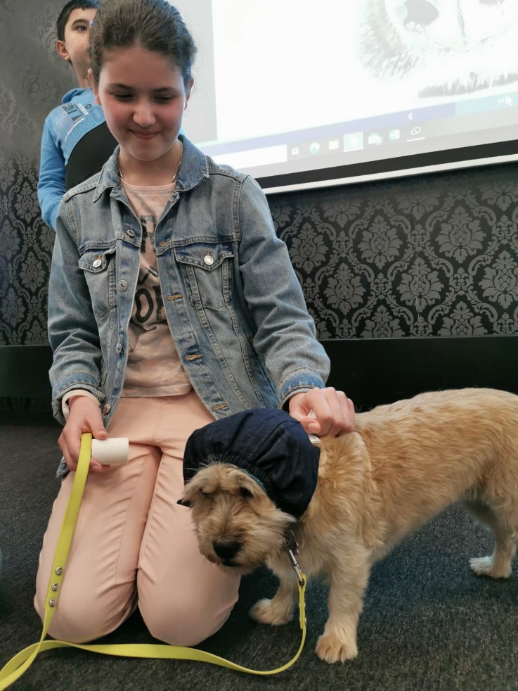 Thema: dieren