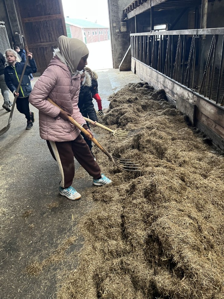 Boerderij Udink Markelo