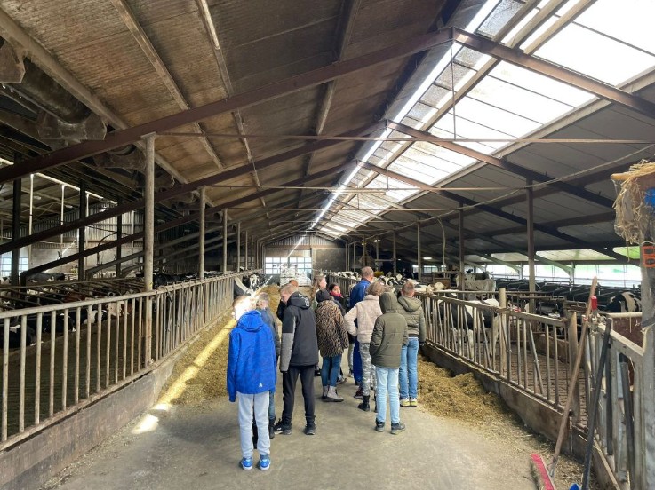 Melkvee en IJsboerderij 'T Loaboerke