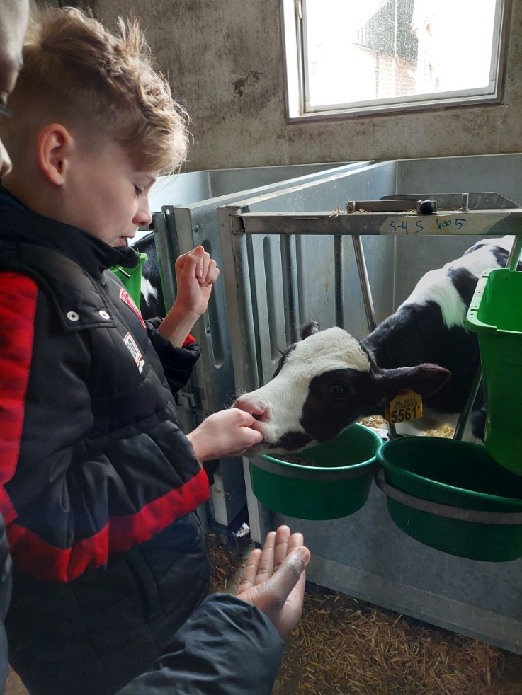 Melkveebedrijf Udink